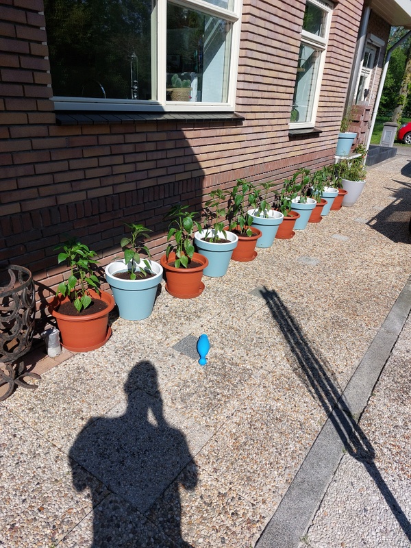 Afbeeldingslocatie: https://tweakers.net/i/H0QLQ2aBcoKBEhlwQBobO6vVhq4=/x800/filters:strip_icc():strip_exif()/f/image/H709FDzxBjDFr3oDosnUqUp8.jpg?f=fotoalbum_large