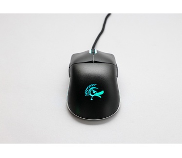 Ducky Feather Gaming Maus, ARGB - Kailh Switches, black/white