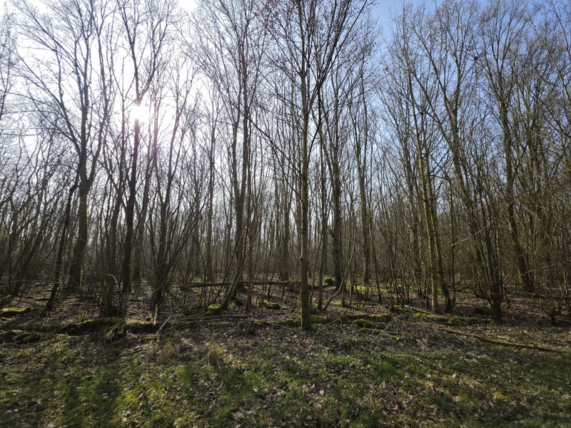 Afbeeldingslocatie: https://tweakers.net/i/H25dzOcKDPMCPvET9EpoW2petVo=/800x/filters:strip_icc():strip_exif()/f/image/DvteCIsClpg6rCsW8D2mHER3.jpg?f=fotoalbum_large