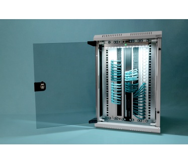 Digitus Wandgehäuse 10HE/ 10" horizontal 5HE/ 19" vertikal