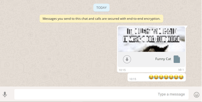 whatsapp web lek