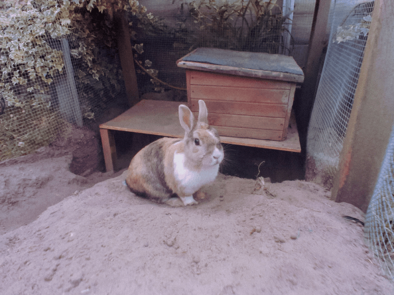 Afbeeldingslocatie: https://tweakers.net/i/H8VWWdgQGlfpIGLiYko6mbTPhyE=/800x/filters:strip_exif()/f/image/8QwlxHopdJpKDQC3ReGvqWdE.png?f=fotoalbum_large