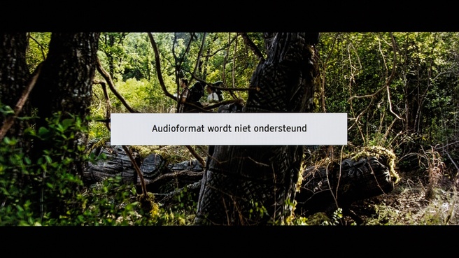Geen DTS-ondersteuning