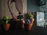 Cameravergelijking - Primair