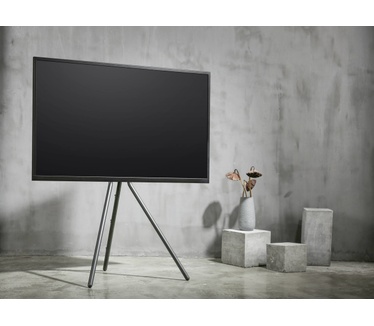 SpeaKa Professional SP-TVS-300