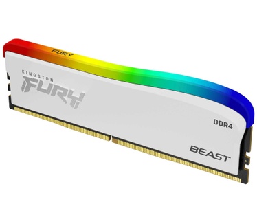 Kingston FURY Beast RGB Special Edition