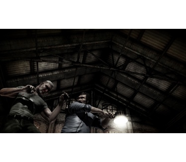 The Fight