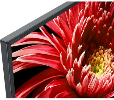 Sony KD-55XG8505 Zwart