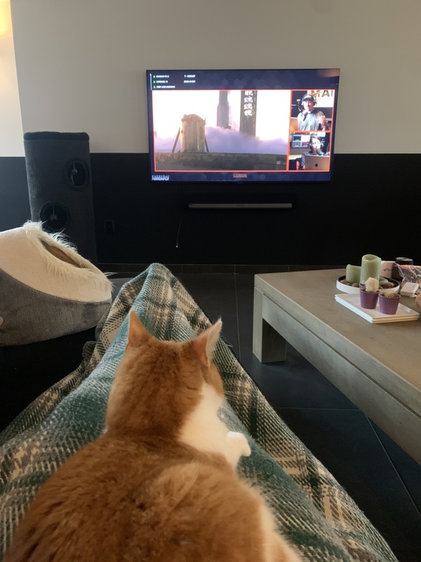 Afbeeldingslocatie: https://tweakers.net/i/HFSiALu6uL-P-rPBloW9SownK-s=/x800/filters:strip_icc():strip_exif()/f/image/TogcI3xLyNBtzUj5ILwV3xod.jpg?f=fotoalbum_large