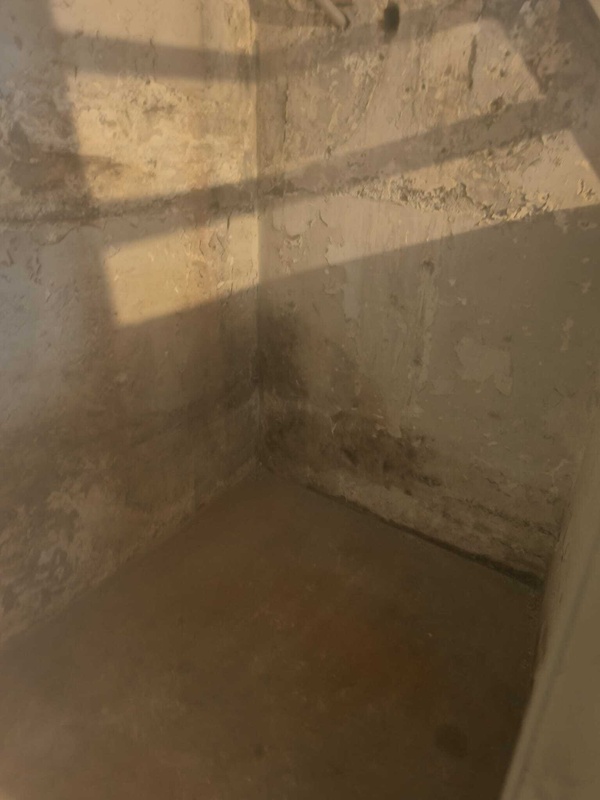 Afbeeldingslocatie: https://tweakers.net/i/HHZ5kH0cRHjrHKwH9nBNQCtleiI=/x800/filters:strip_icc():strip_exif()/f/image/UbSR8qaLGdMKhTLJSFyctoiX.jpg?f=fotoalbum_large