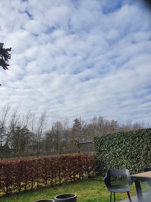 Afbeeldingslocatie: https://tweakers.net/i/HI5TEn9W5SUOOTvoJJmRa_YMexE=/x800/filters:strip_icc():strip_exif()/f/image/JD4KzMUf6tYWxcaDsNxy9sqB.jpg?f=fotoalbum_large