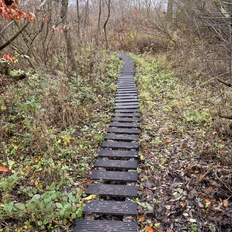 Afbeeldingslocatie: https://tweakers.net/i/HII0levLKhAmIvIRW4IEW9N2HC8=/232x232/filters:strip_icc():strip_exif()/f/image/SR9qvAx4xkIDjw3vsXQcQe9F.jpg?f=fotoalbum_tile