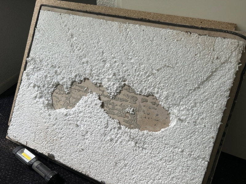 Afbeeldingslocatie: https://tweakers.net/i/HJURL5j4bX9SHGQl8_Vg8fUbtR0=/800x/filters:strip_icc():strip_exif()/f/image/zWgicsItu1dEwSPAodfagzA1.jpg?f=fotoalbum_large
