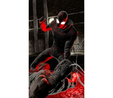 Spider-Man: Shattered Dimensions