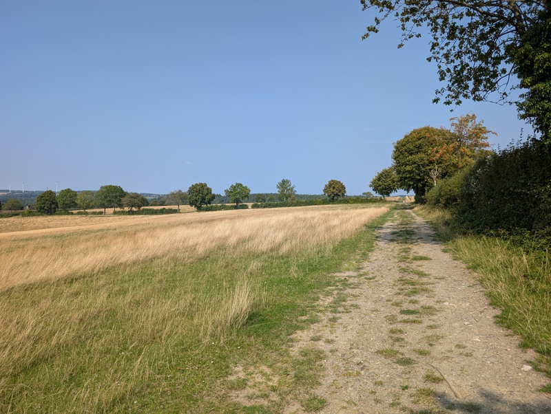 Afbeeldingslocatie: https://tweakers.net/i/HL-oomaPMJwEm1GFU2fVl-m8a3U=/800x/filters:strip_icc():strip_exif()/f/image/0V3oisQrGm6wO2sDJapZqUhS.jpg?f=fotoalbum_large