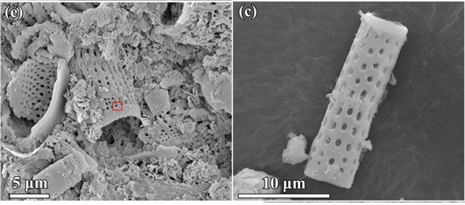 Nanostructuren van silicium