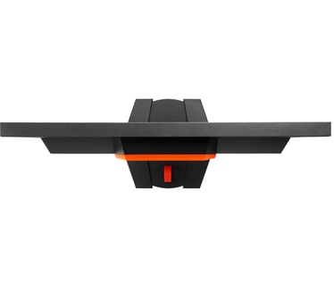 Eizo Foris FG2421 Zwart