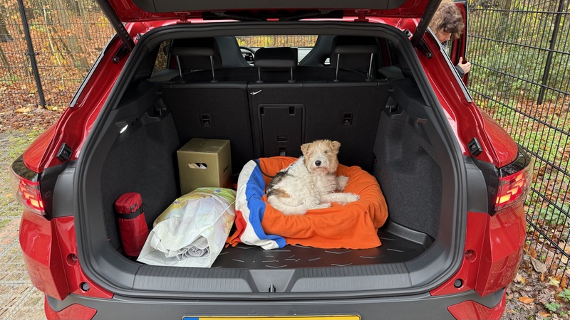 Afbeeldingslocatie: https://tweakers.net/i/HT0JGEh4W0scDlXwMfLP6JLvnWw=/800x/filters:strip_icc():strip_exif()/f/image/gCj91u9zN8BXLvLKTjQYMekI.jpg?f=fotoalbum_large