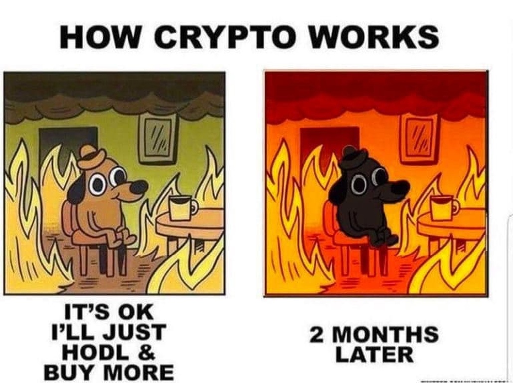 Afbeeldingslocatie: https://tweakers.net/i/HTDAsYCyapjjXQlippNj1KS8gy8=/full-fit-in/4920x3264/filters:max_bytes(3145728):no_upscale():strip_icc():fill(white):strip_exif()/f/image/KIJKtQAYuchJA3QKhZd3n59K.jpg?f=user_large