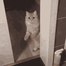 Afbeeldingslocatie: https://tweakers.net/i/HUTRIGniChH4BI6kX7QYCLxfOLs=/fit-in/4000x4000/filters:no_upscale():gifsicle():strip_exif()/f/image/h05lKgTGQHNjy9O4IEbPtUzS.gif?f=user_large