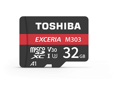 Toshiba Exceria M303