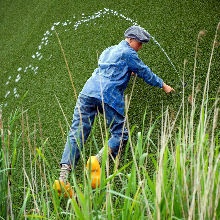 Afbeeldingslocatie: https://tweakers.net/i/HZwfhC_VRM74xM0SEe3t9G6e8cM=/full-fit-in/4920x3264/filters:max_bytes(3145728):no_upscale():strip_icc():fill(white):strip_exif()/f/image/dP7g5oVMNymGnECbJ4vwtgML.jpg?f=user_large