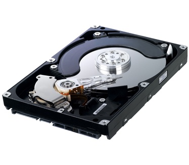 Samsung Spinpoint F1 RAID HE642JJ, 640GB