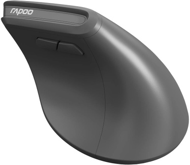 Rapoo EV310M