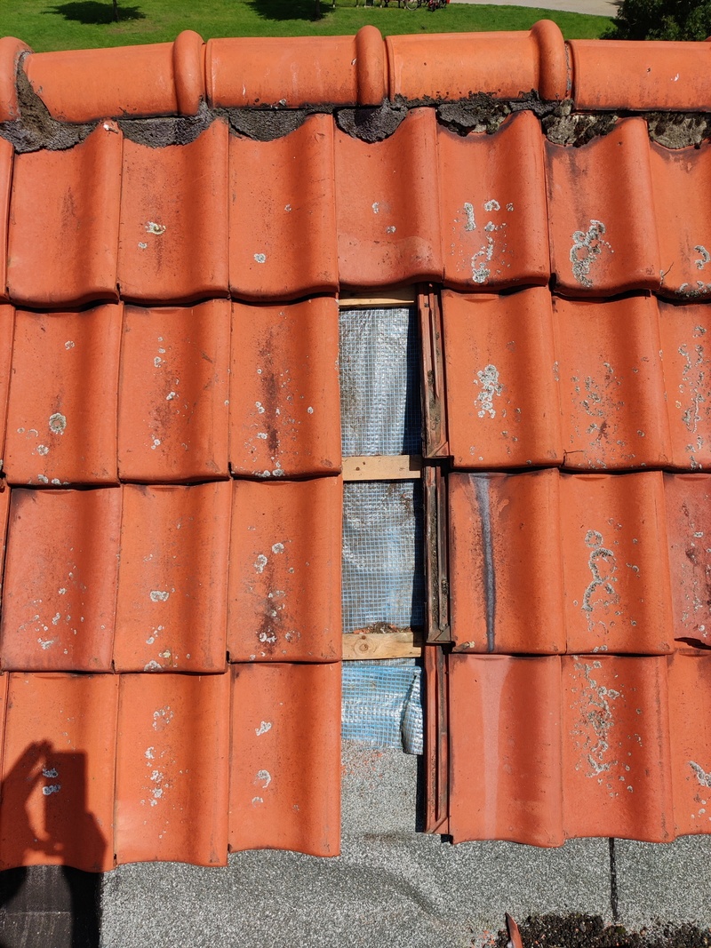 Afbeeldingslocatie: https://tweakers.net/i/HdElmiaTUf8JsJEMOa4FqW4RL6I=/800x/filters:strip_icc():strip_exif()/f/image/AM3otsNpG8STEEoG7LGxMkvi.jpg?f=fotoalbum_large