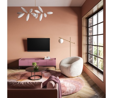 Loewe bild c.43