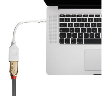 Lindy Kabel / Adapter Wit