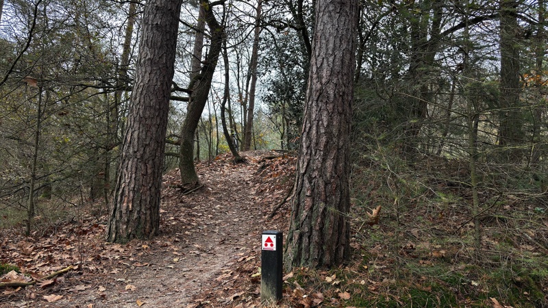 Afbeeldingslocatie: https://tweakers.net/i/HfOzfoKwl_HiunpnXZwVkBqz_Rs=/800x/filters:strip_icc():strip_exif()/f/image/NFPpLoxteffU2ptP5arzO46Y.jpg?f=fotoalbum_large