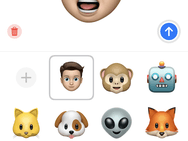 iOS 12