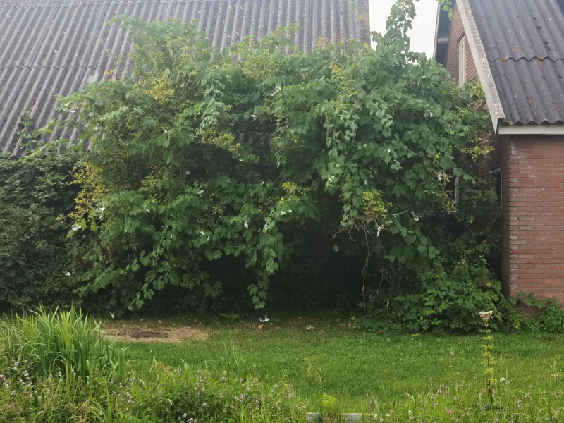 Afbeeldingslocatie: https://tweakers.net/i/HjUIjTGrrgeQtMY_Cr_4rXW6VxI=/800x/filters:strip_icc():strip_exif()/f/image/aCv8lYQrTbAocD41NARo91KL.jpg?f=fotoalbum_large