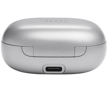 JBL Live Flex (Zilver)