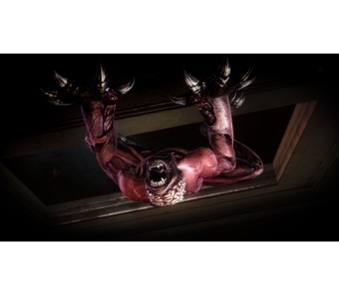 Resident Evil: Operation Raccoon City, PS3