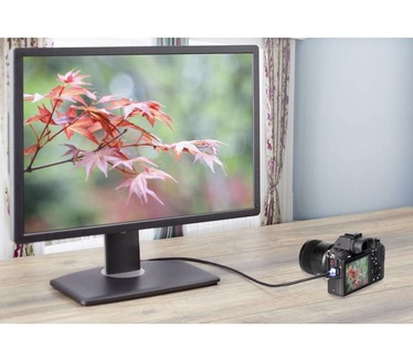 SpeaKa Professional SP-7870168