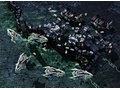 StarCraft II - Wings of Liberty