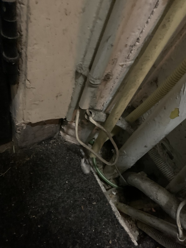 Afbeeldingslocatie: https://tweakers.net/i/HnrtAsXuzLHqeM1xnMKp4pO4Zm8=/x800/filters:strip_icc():strip_exif()/f/image/2OTfLak9hHhBKQUGpMHpPyZT.jpg?f=fotoalbum_large