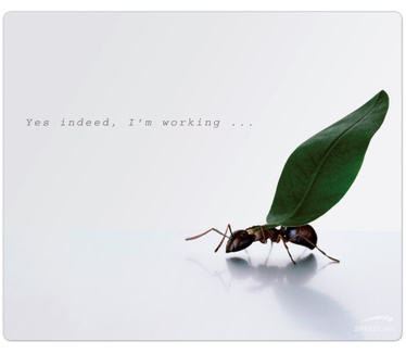 Speedlink Silk Mousepad (working Ants)