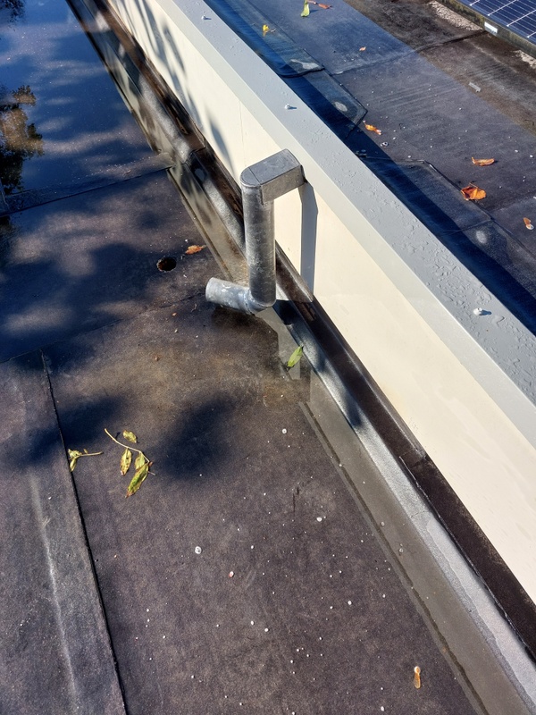 Afbeeldingslocatie: https://tweakers.net/i/HohpTzHONquEwhruVbct5vZu7Pk=/x800/filters:strip_icc():strip_exif()/f/image/mFcbeVq5JM9745CAPJ4KRSSg.jpg?f=fotoalbum_large
