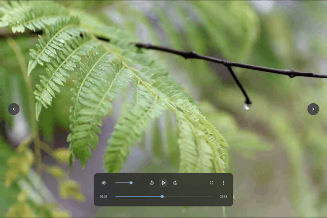 ChromeOS videospeler