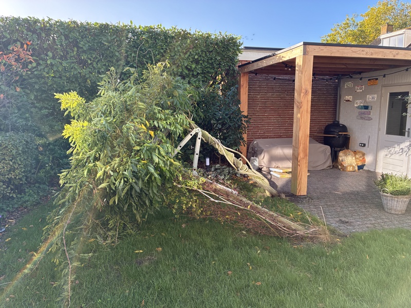 Afbeeldingslocatie: https://tweakers.net/i/HqJ_Iy6tSQzeuA6W90CLsYD3hAM=/800x/filters:strip_icc():strip_exif()/f/image/X3pCeGsrfymIoEz6QLbqLCVl.jpg?f=fotoalbum_large