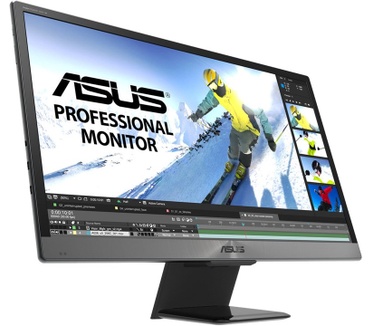 Asus ProArt PQ22UC Zilver, Zwart