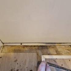 Afbeeldingslocatie: https://tweakers.net/i/HtaF0wq24J4ZQ-stW9YAjJHyQCI=/232x232/filters:strip_icc():strip_exif()/f/image/f0AIgbpLeAQjilj5v0mpzuEa.jpg?f=fotoalbum_tile