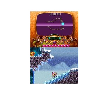 Wario: Master of Disguise, Nintendo DS