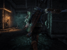The Witcher 2: Assassins of Kings