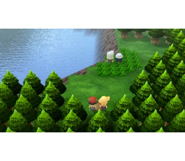 Pokémon Shining Pearl, Switch