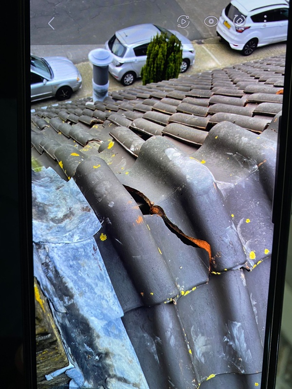 Afbeeldingslocatie: https://tweakers.net/i/I1_XaomK2VyoeDel-jmK1Siy7N0=/x800/filters:strip_icc():strip_exif()/f/image/LLahruHGNhyRQiWZF2Z6zWk0.jpg?f=fotoalbum_large