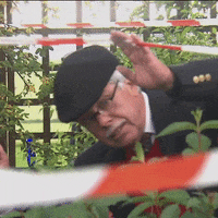 Afbeeldingslocatie: https://tweakers.net/i/I2YhpLr5AayLWeez12Fis3xnzZA=/fit-in/4000x4000/filters:no_upscale():gifsicle():strip_exif()/f/image/mZtMbeyIeAqfZHkkJshlJ44r.gif?f=user_large